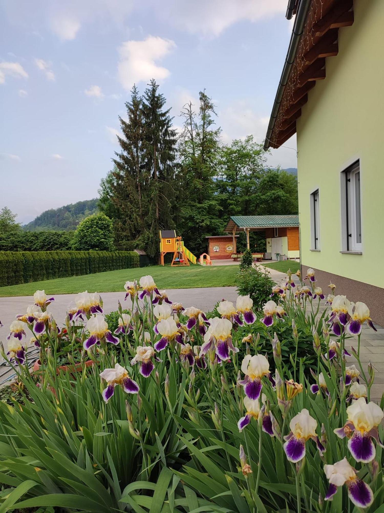 Apartments And Wellness Jelovca Radovljica Dış mekan fotoğraf