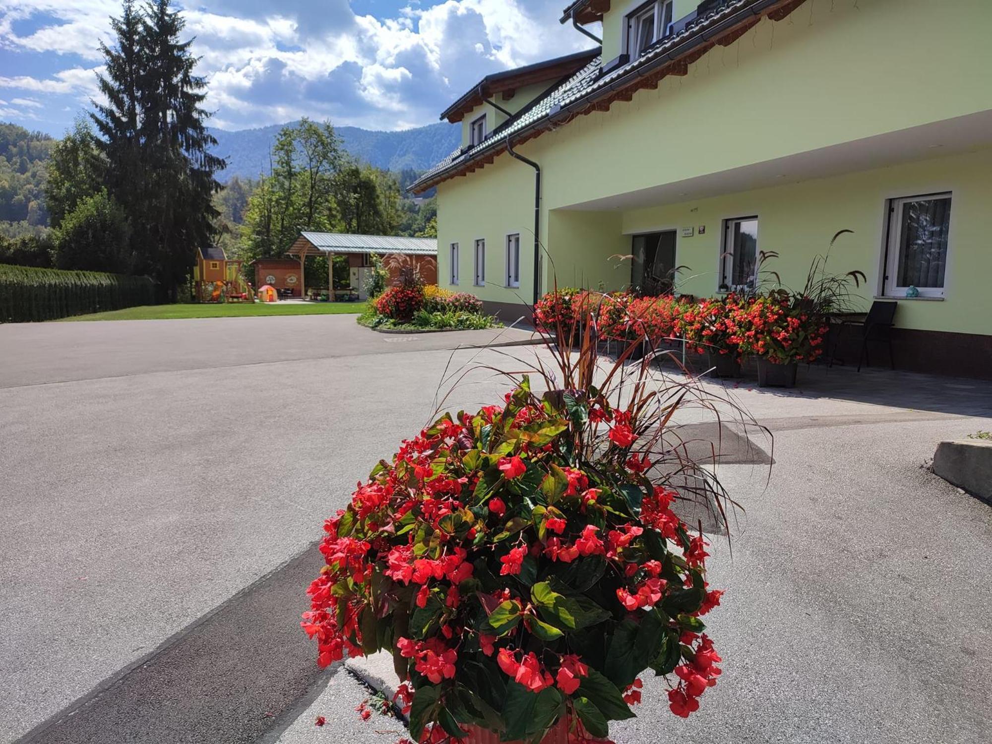 Apartments And Wellness Jelovca Radovljica Dış mekan fotoğraf
